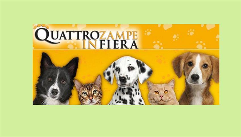 Quattro Zampe in Fiera Quattro Zampe in Fiera